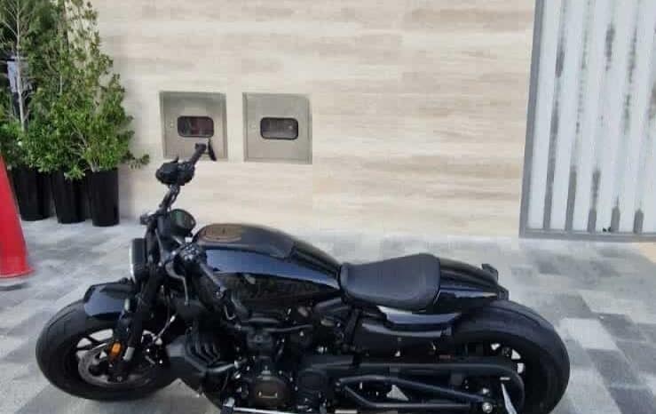 
								HARLEY-DAVIDSON Sportster S 2021 full									