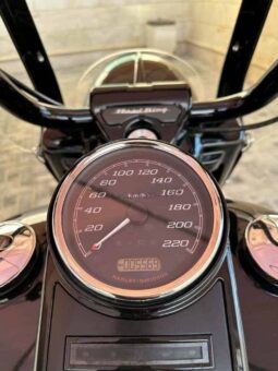 
										HARLEY-DAVIDSON Road King Special 114 (Flhrxs) 2021 full									