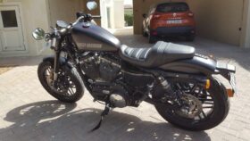 HARLEY-DAVIDSON Roadster (Xl1200Cx) 2016