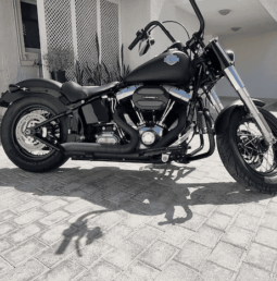 
										HARLEY-DAVIDSON Softail Slim (Fls) 2017 full									