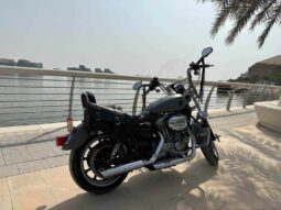 
										HARLEY-DAVIDSON Breakout 114 (Fxbrs) 2011 full									