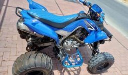 YAMAHA Raptor 700 (Yfm700R) 2020