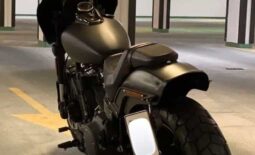 
										HARLEY-DAVIDSON Fat Bob 114 (Fxfbs) 2019 full									