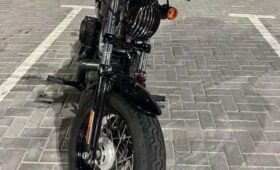 HARLEY-DAVIDSON Forty-Eight (Xl1200X) 2014