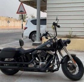 HARLEY-DAVIDSON Softail Slim (Fls) 2015