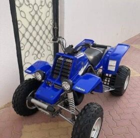 YAMAHA Banshee 350 (Yzf350) 2005