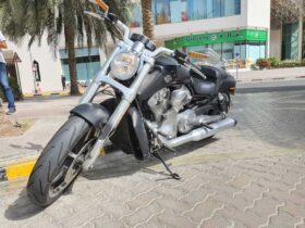 HARLEY-DAVIDSON V-Rod (Vrscaw) 2016