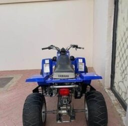 YAMAHA Banshee 350 (Yzf350) 2005