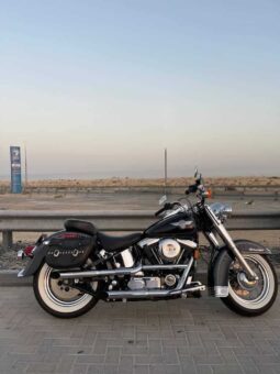 HARLEY-DAVIDSON Heritage Softail Nostalgia (Flstn) 1995