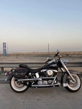 HARLEY-DAVIDSON Heritage Softail Nostalgia (Flstn) 1995