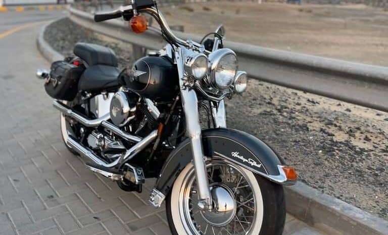 
								HARLEY-DAVIDSON Heritage Softail Nostalgia (Flstn) 1995 full									