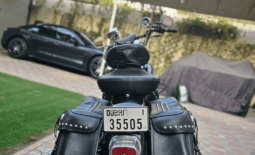 
										HARLEY-DAVIDSON Heritage Softail Classic 1690 (Flstc) 2012 full									