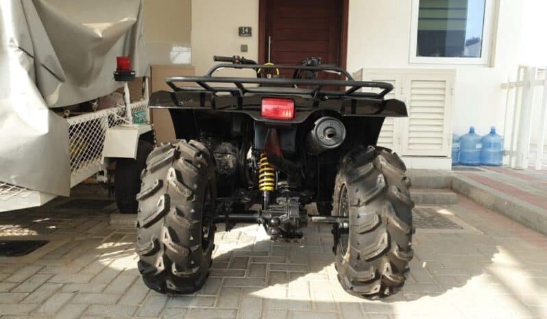 
								YAMAHA Grizzly 350 4X2 Auto (Yfm350A) 2011 full									