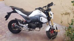 
										HONDA Grom (Msx125) 2020 full									