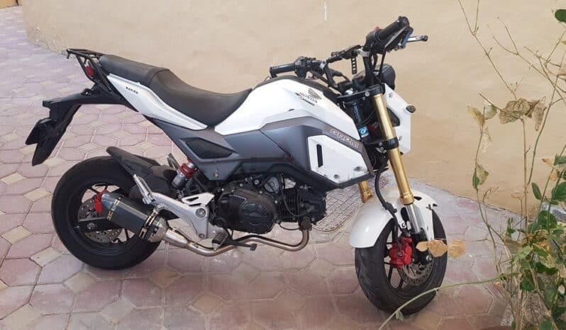 
								HONDA Grom (Msx125) 2020 full									