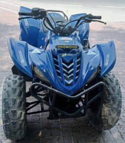 
										YAMAHA Grizzly 350 4X2 Auto (Yfm350A) 2010 full									