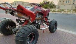 YAMAHA Raptor 700 Se (Yfm700Rse) 2009