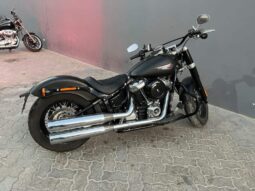 
										HARLEY-DAVIDSON Softail Slim (Fls) 2020 full									