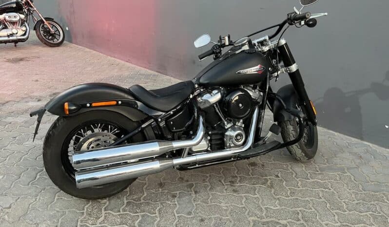 
								HARLEY-DAVIDSON Softail Slim (Fls) 2020 full									