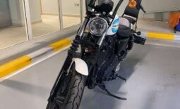 
										HARLEY-DAVIDSON Iron 1200 (Xl1200Ns) 2019 full									