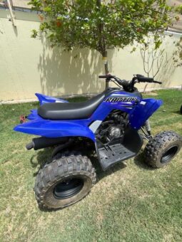 
										YAMAHA Raptor 90 (Yfm90R) 2022 full									