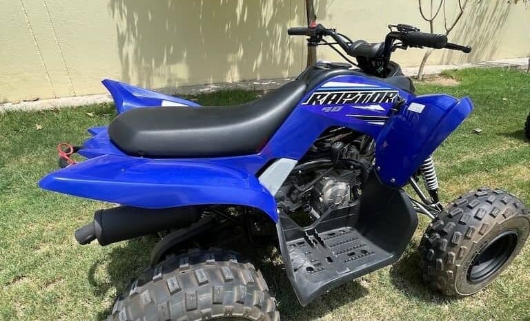 
								YAMAHA Raptor 90 (Yfm90R) 2022 full									