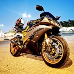 
										YAMAHA Yzf-R6 2014 full									