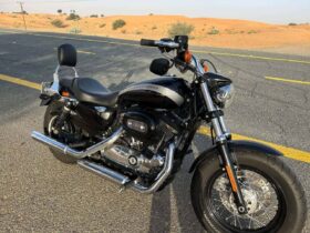 HARLEY-DAVIDSON Sportster 1200 Custom B (Xl1200Cb) 2019