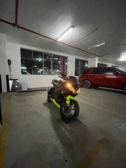 KAWASAKI Ninja 300 (Ex300A) 2014