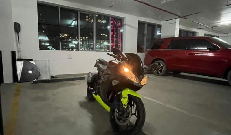 
								KAWASAKI Ninja 300 (Ex300A) 2014 full									