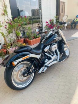 
										HARLEY-DAVIDSON Fat Boy 114 (Flfbs) 2019 full									