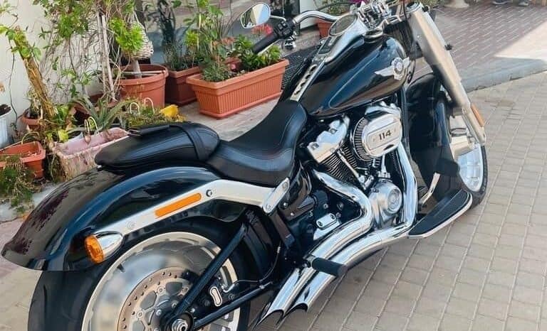 
								HARLEY-DAVIDSON Fat Boy 114 (Flfbs) 2019 full									