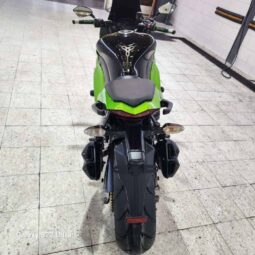 
										KAWASAKI Ninja 1000Sx 2012 full									