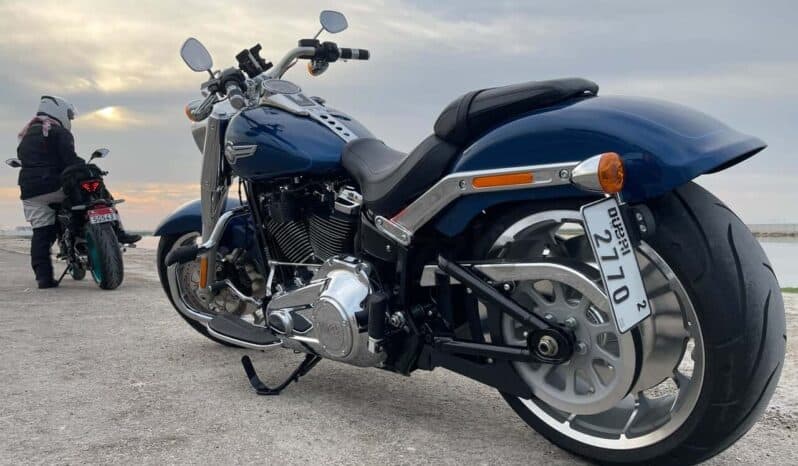 
								HARLEY-DAVIDSON Fat Boy 114 (Flfbs) 2022 full									