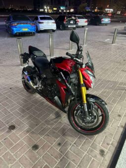 
										SUZUKI Gsx-S1000 2015 full									