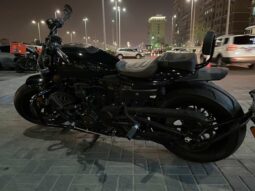 
										HARLEY-DAVIDSON Sportster S 2022 full									