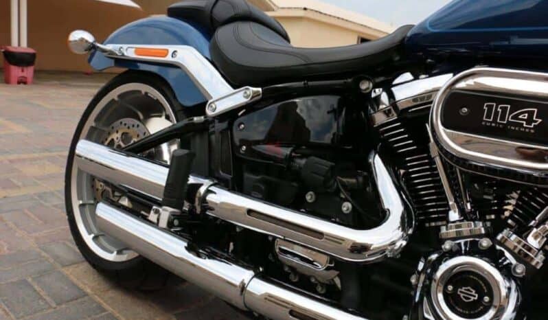 HARLEY-DAVIDSON Fat Boy 114 (Flfbs) 2022