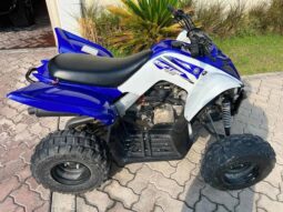 YAMAHA Raptor 90 (Yfm90R) 2017