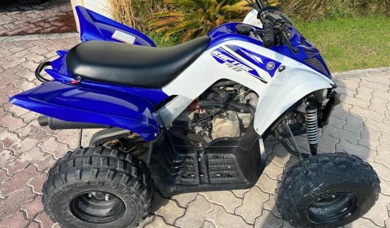 YAMAHA Raptor 90 (Yfm90R) 2017