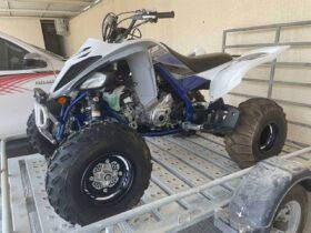 YAMAHA Raptor 700 (Yfm700R) 2019