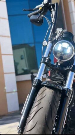 
										HARLEY-DAVIDSON Forty-Eight (Xl1200X) 2018 full									