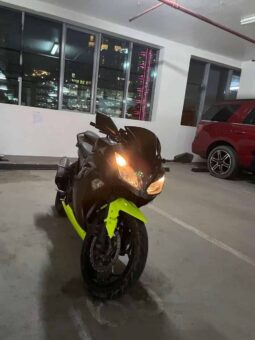 KAWASAKI Ninja 300 (Ex300A) 2014