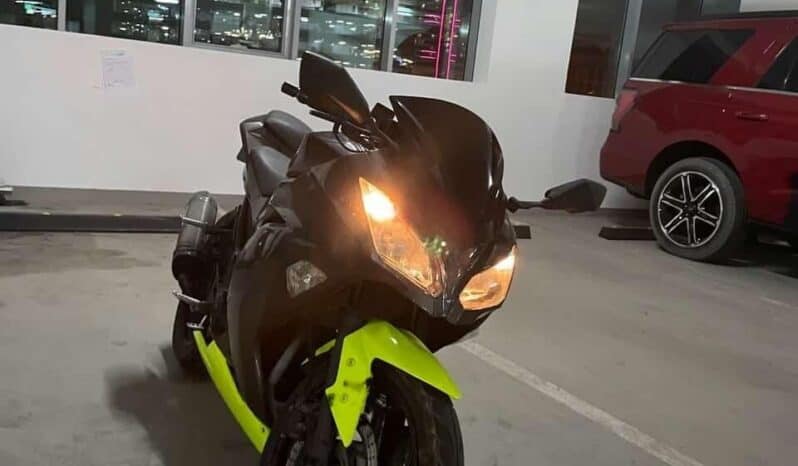 
								KAWASAKI Ninja 300 (Ex300A) 2014 full									