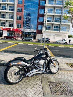 
										HARLEY-DAVIDSON Fat Boy 114 (Flfbs) 2019 full									