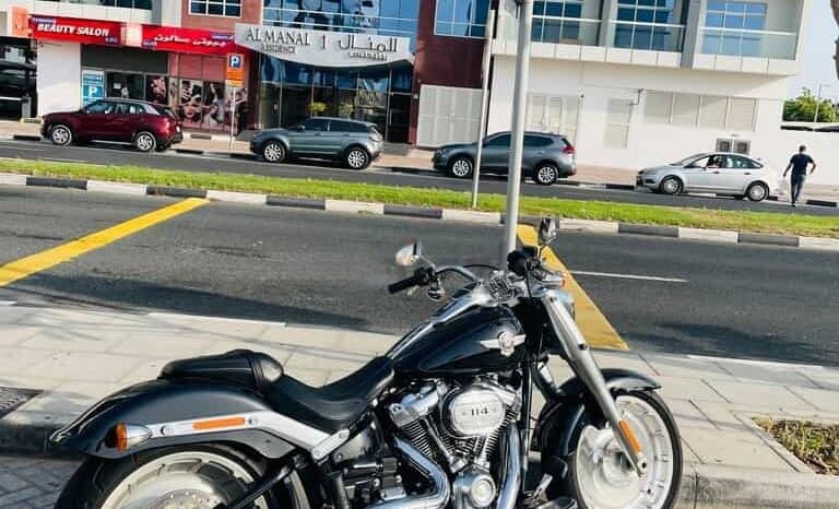 
								HARLEY-DAVIDSON Fat Boy 114 (Flfbs) 2019 full									