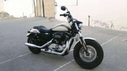 
										HARLEY-DAVIDSON Sportster 1200 (Xlh1200) 2018 full									