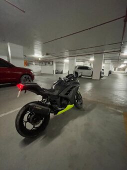 KAWASAKI Ninja 300 (Ex300A) 2014