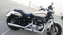 
										HARLEY-DAVIDSON Sportster 1200 (Xlh1200) 2018 full									