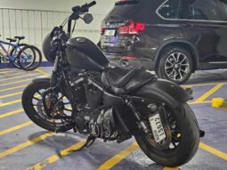 
										HARLEY-DAVIDSON Iron 883 (Xl883N) 2010 full									