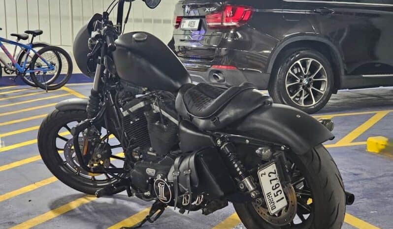 
								HARLEY-DAVIDSON Iron 883 (Xl883N) 2010 full									